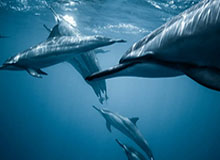 mk体育官网：引领体育迷新纪元的全方位体验